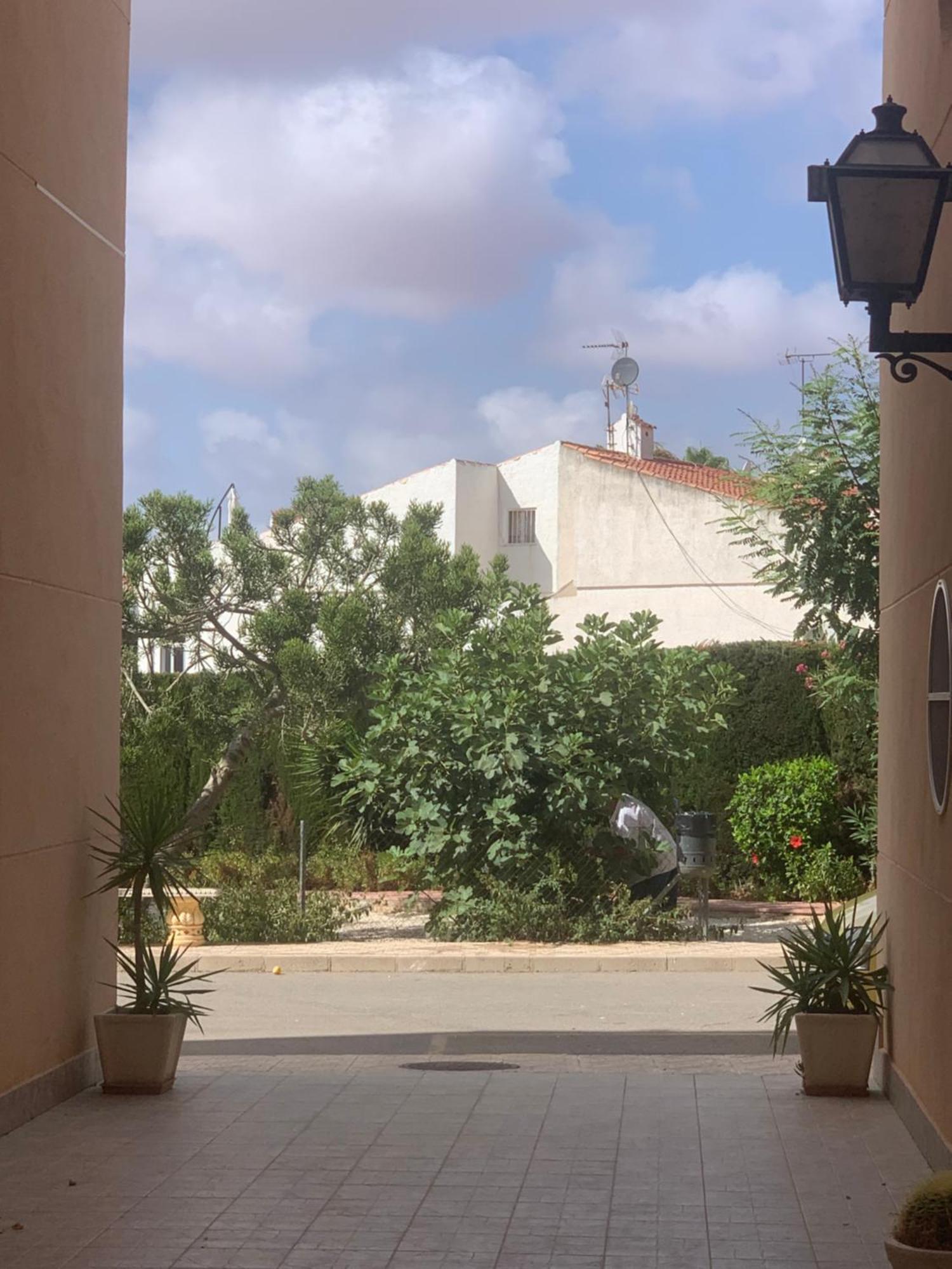 Tres Beau T4 Torrevieja Renove Et Moderne Appartement Buitenkant foto